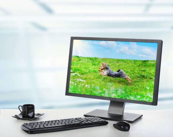 Trying Out New Operating Systems | A Plus Computer Services in Apple Valley Trying Out New Operating Systems | A Plus Computer Services in Apple Valley